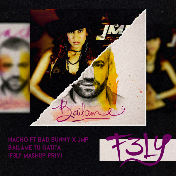 Bailame Tu Gatita (F3LY Mashup)