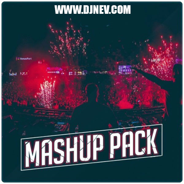 Brindemos x Make It Bum (E. Rodriguez Hard Techno Mashup 147)